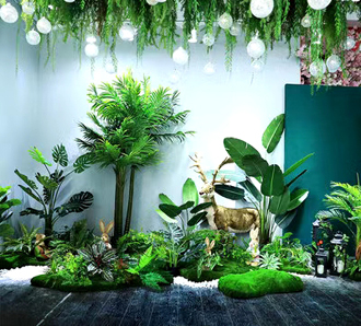 �����̻�ֲ������